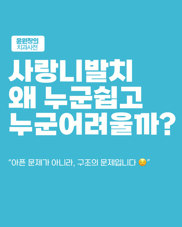 내 사랑니는 어려운 편일까? 발치 난이도 결정 요소 정리